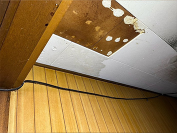 天井から雨漏り